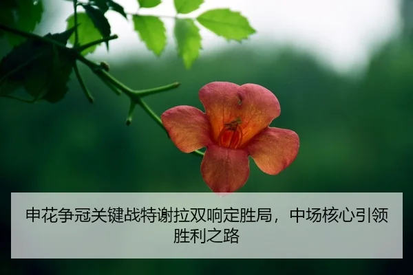 shen-hua-zheng-guan-guan-jian-zhan-te-xie-la-shuang-xiang-ding-sheng-ju-zhong-chang-he-xin-yin-ling-sheng-li-zhi-lu-2-809.jpg
