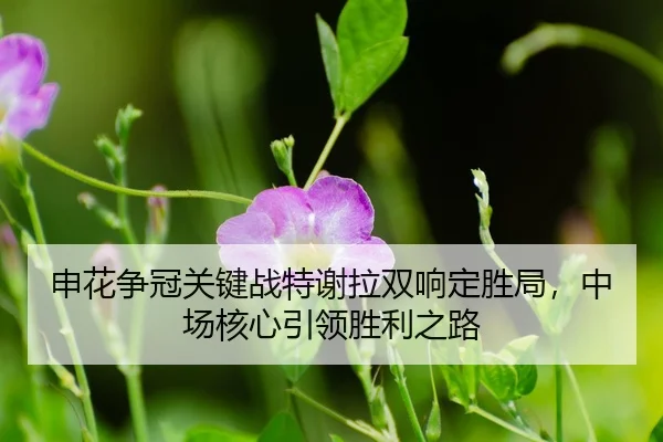 shen-hua-zheng-guan-guan-jian-zhan-te-xie-la-shuang-xiang-ding-sheng-ju-zhong-chang-he-xin-yin-ling-sheng-li-zhi-lu-3-162.jpg