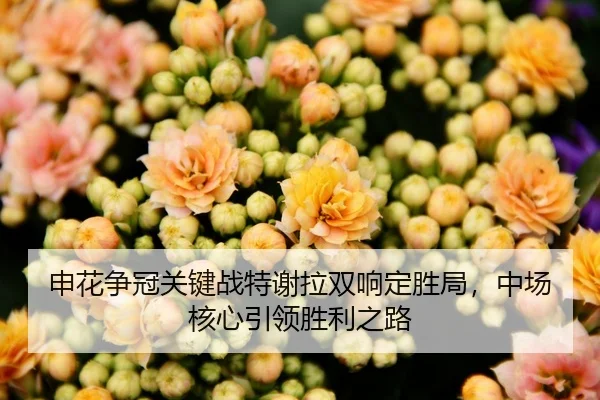 申花争冠关键战特谢拉双响定胜局，中场核心引领胜利之路