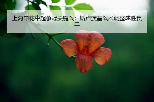 shang-hai-shen-hua-zhong-chao-zheng-guan-guan-jian-zhan-si-lu-ci-ji-zhan-shu-tiao-zheng-cheng-sheng-fu-shou-2-535.jpg