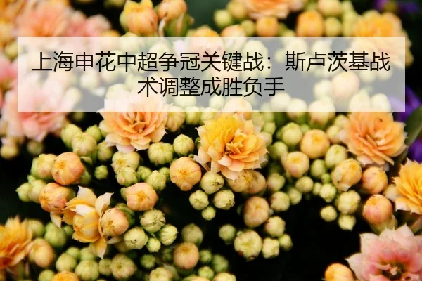 上海申花中超争冠关键战：斯卢茨基战术调整成胜负手