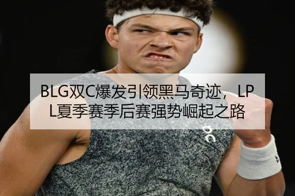 BLG双C爆发引领黑马奇迹，LPL夏季赛季后赛强势崛起之路