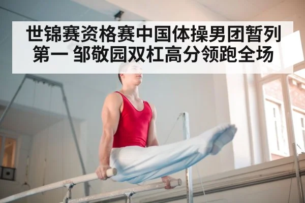 parallel bars gymnastics