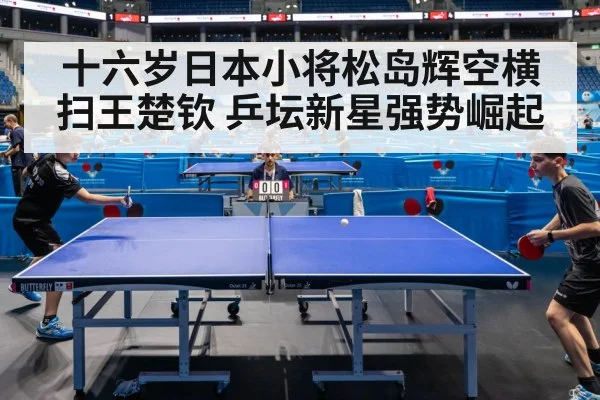 十六岁日本小将松岛辉空横扫王楚钦 乒坛新星强势崛起